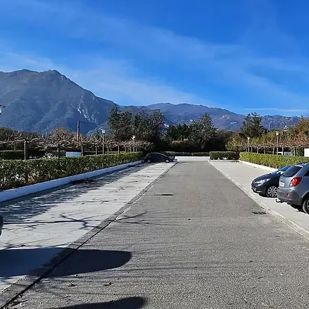 Sognu Di Rena G1 * San-Nicolao