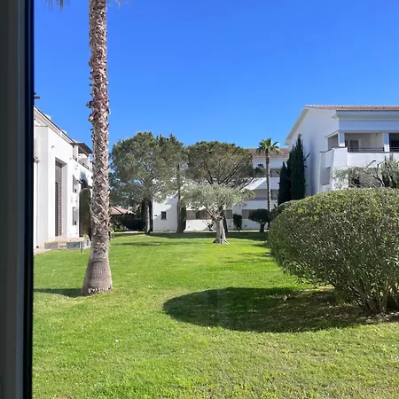 Sognu Di Rena G1 *
